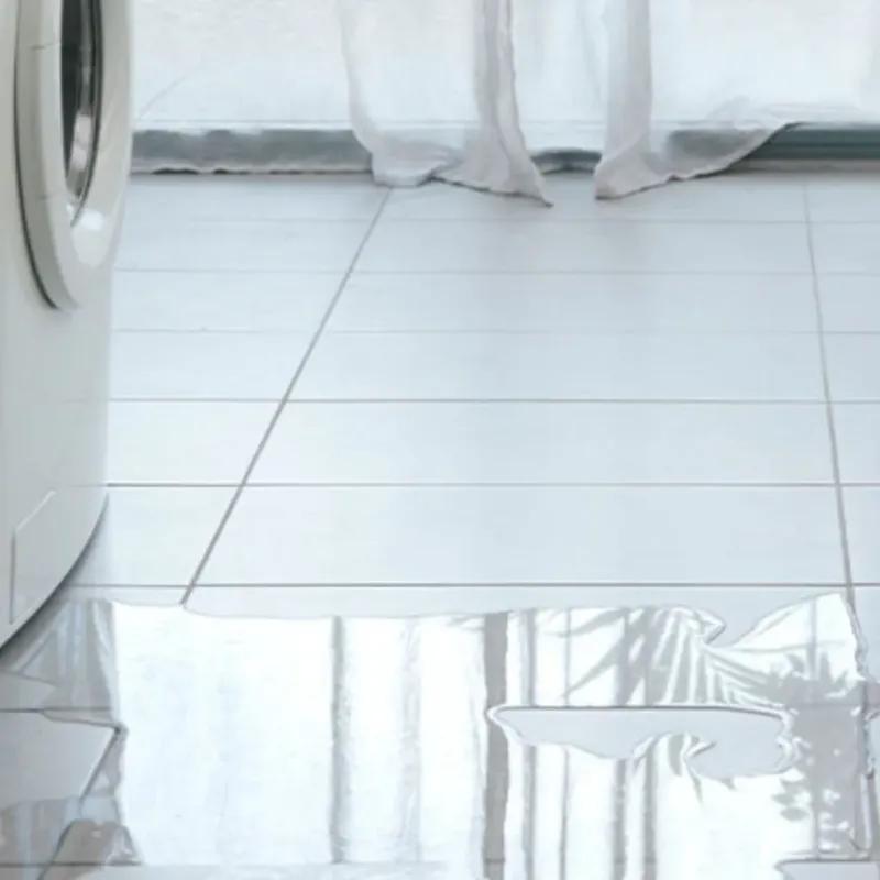 Appliance Leak Cleanup in Mauriceville, TX