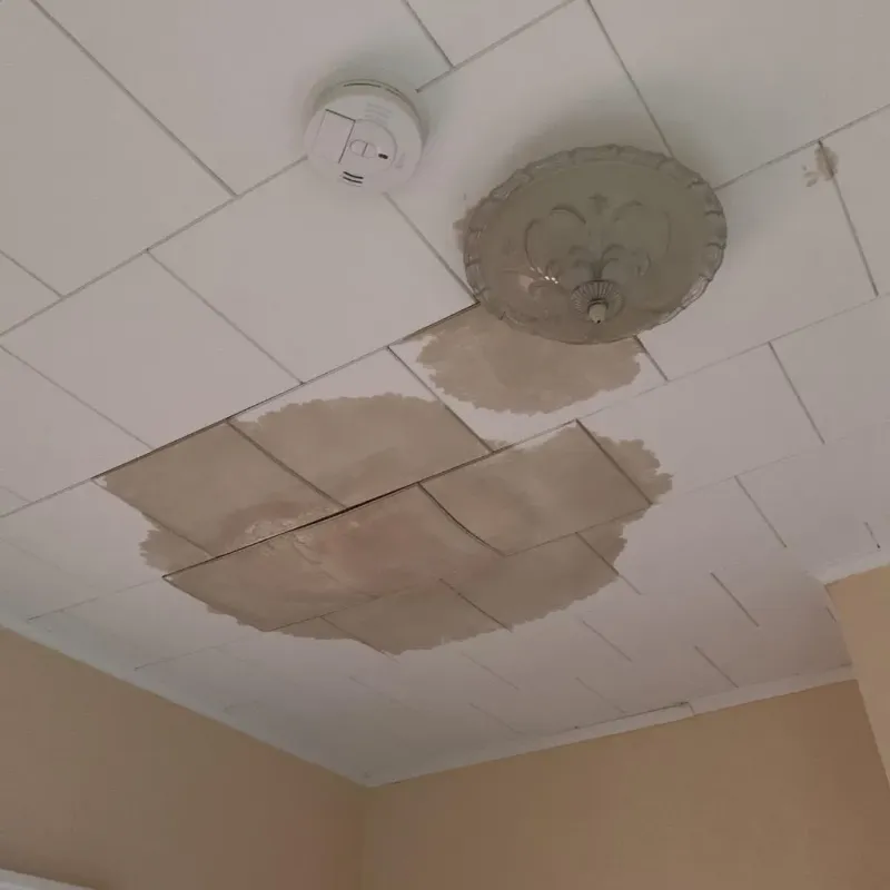Ceiling Water Damage Repair in Mauriceville, TX