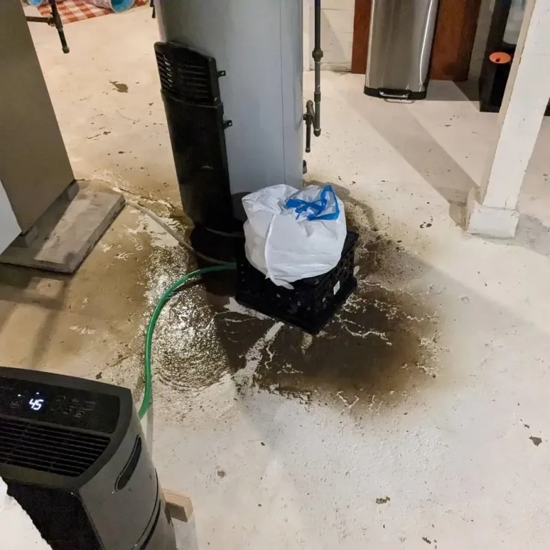 Sewage Backup Cleanup Service in Mauriceville, TX